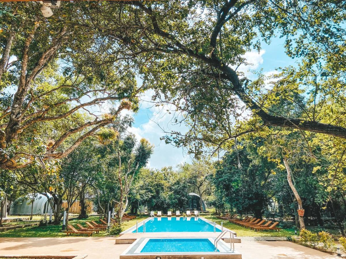 Nivadoo Resort 시기리야 외부 사진 The swimming pool at the hotel